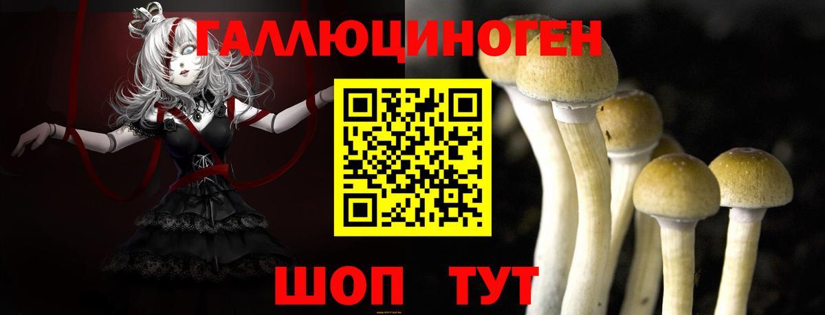 где купить   Псилоцибиновые грибы ЛСД  Вход с VPN  Дедовск 
